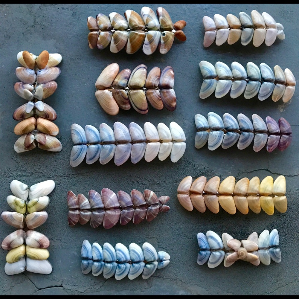 One of a kind Hand crafted shell clips barrettes